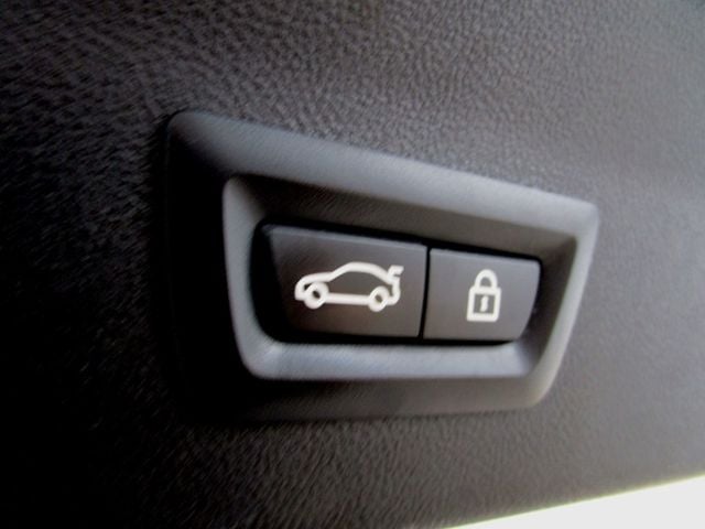 2019 BMW X4 xDrive30i Sports Activity Coupe - 22997988 - 29