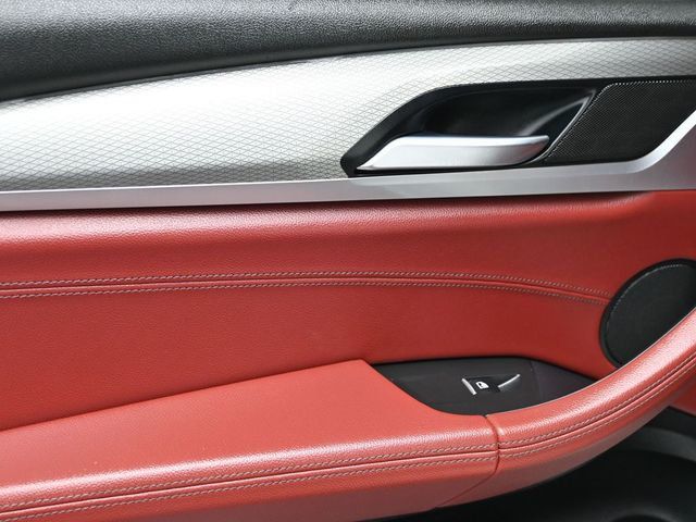 2019 BMW X4 xDrive30i Sports Activity Coupe - 22989870 - 9