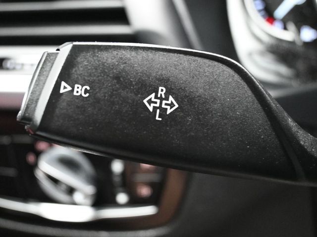 2019 BMW X4 xDrive30i Sports Activity Coupe - 22989870 - 21