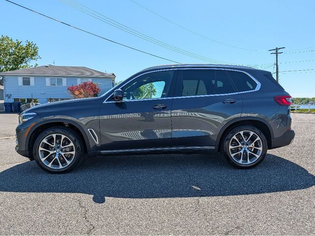 2019 BMW X5 xDrive40i Sports Activity Vehicle - 23025648 - 8