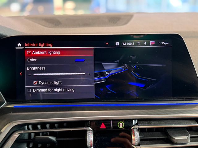 2019 BMW X5 xDrive40i Sports Activity Vehicle - 23033244 - 31