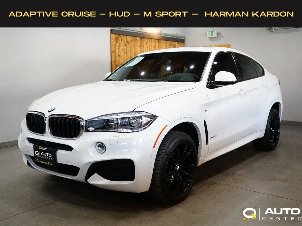 2019 BMW X6 xDrive35i Sports Activity Coupe - 22557280 - 0