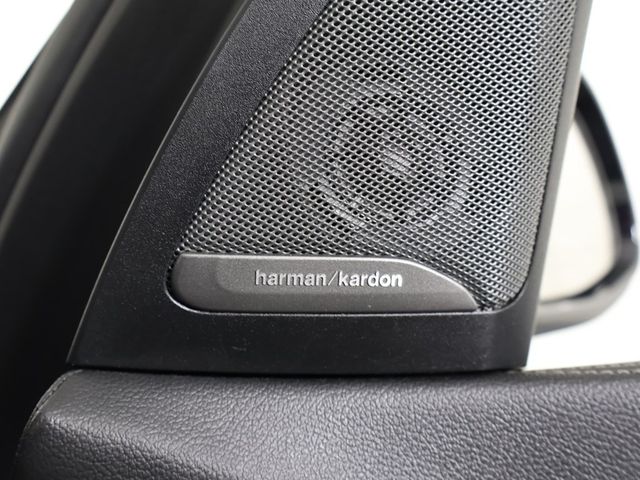 2019 BMW X7 xDrive40i Sports Activity Vehicle - 22955749 - 70