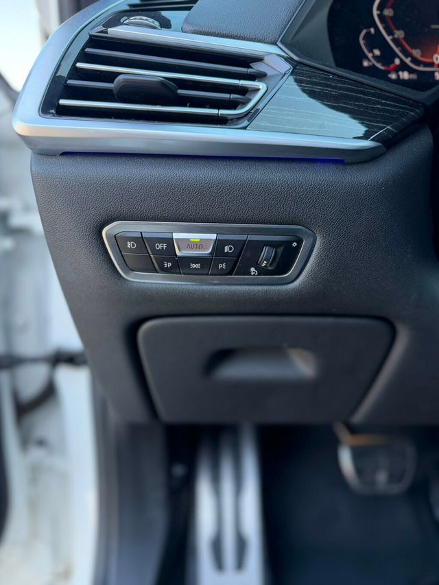 2019 BMW X7 xDrive50i Sports Activity Vehicle - 23061567 - 18
