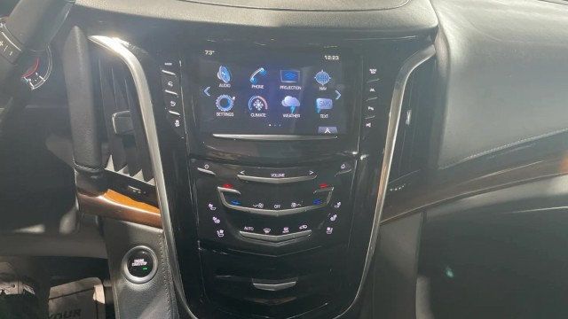 2019 Cadillac Escalade 2WD 4dr Luxury - 22986257 - 16