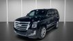 2019 Cadillac Escalade 2WD 4dr Luxury - 22986257 - 2