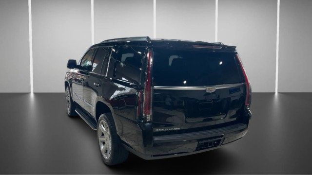 2019 Cadillac Escalade 2WD 4dr Luxury - 22986257 - 4
