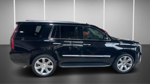 2019 Cadillac Escalade 2WD 4dr Luxury - 22986257 - 5