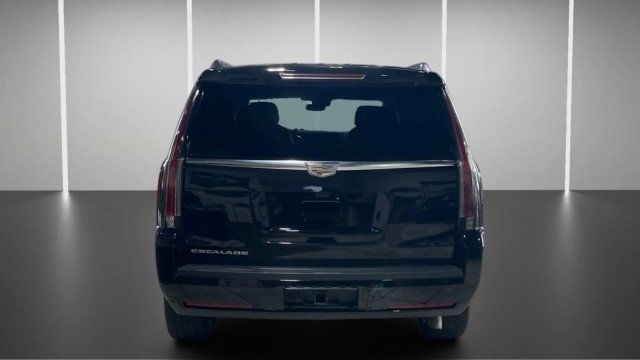 2019 Cadillac Escalade 2WD 4dr Luxury - 22986257 - 7