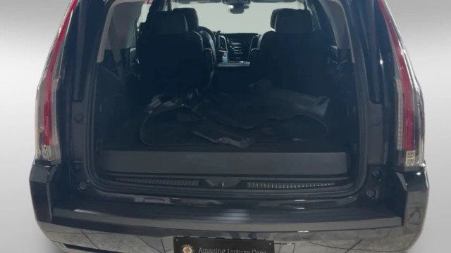 2019 Cadillac Escalade 2WD 4dr Luxury - 22986257 - 8