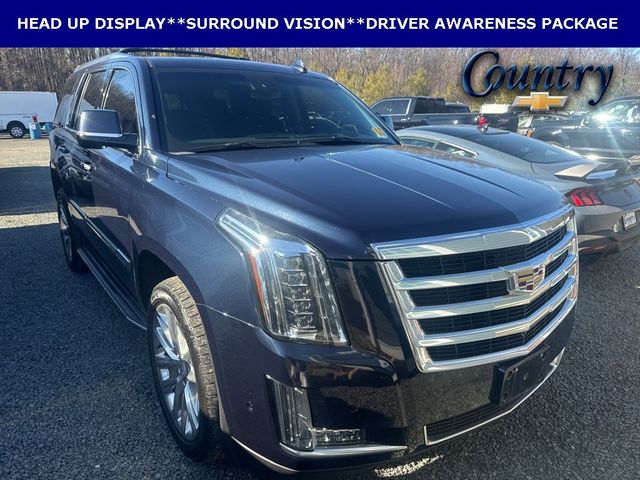 2019 Cadillac Escalade 4WD 4dr Luxury - 22974440 - 0