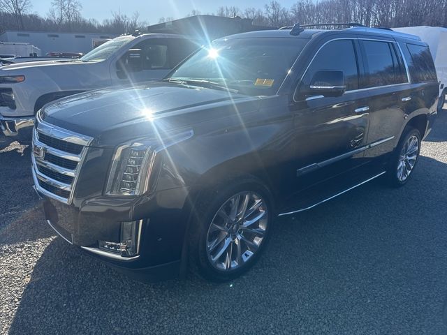 2019 Cadillac Escalade 4WD 4dr Luxury - 22974440 - 2