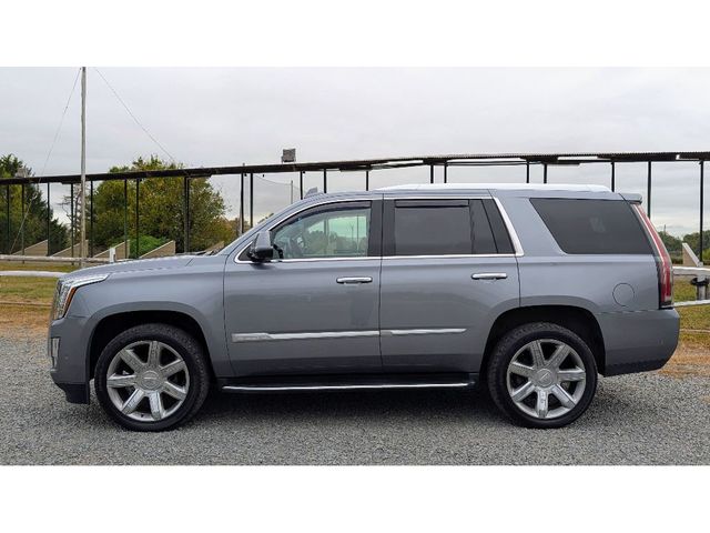 2019 Cadillac Escalade 4WD 4dr Luxury - 22923690 - 3