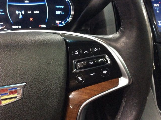 2019 Cadillac Escalade 4WD 4dr Luxury - 21221730 - 11