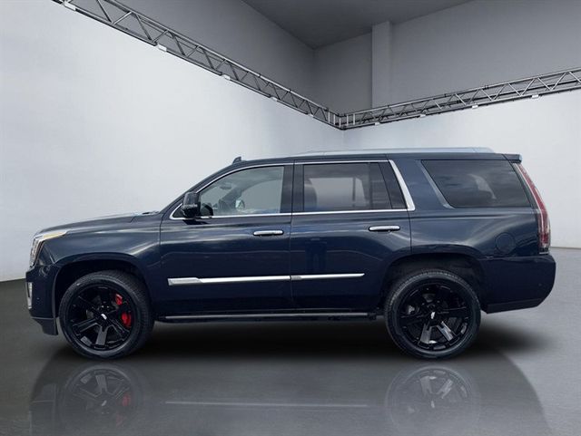 2019 Cadillac Escalade 4WD 4dr Platinum - 22956274 - 1