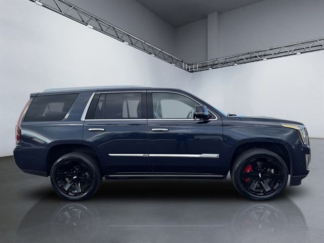 2019 Cadillac Escalade 4WD 4dr Platinum - 22956274 - 2