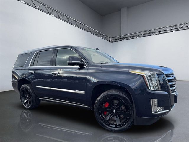 2019 Cadillac Escalade 4WD 4dr Platinum - 22956274 - 32