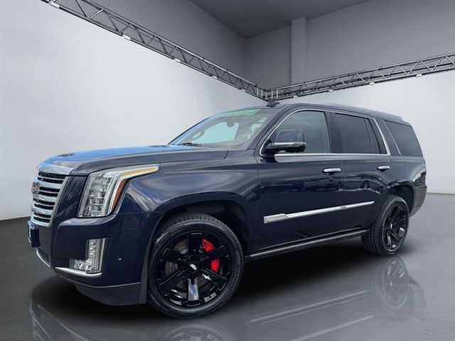 2019 Cadillac Escalade 4WD 4dr Platinum - 22956274 - 33