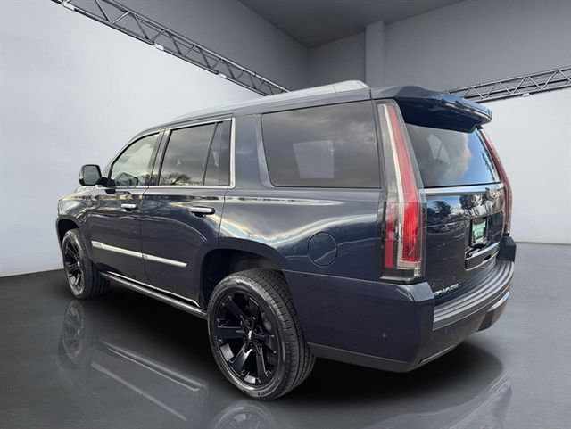 2019 Cadillac Escalade 4WD 4dr Platinum - 22956274 - 4