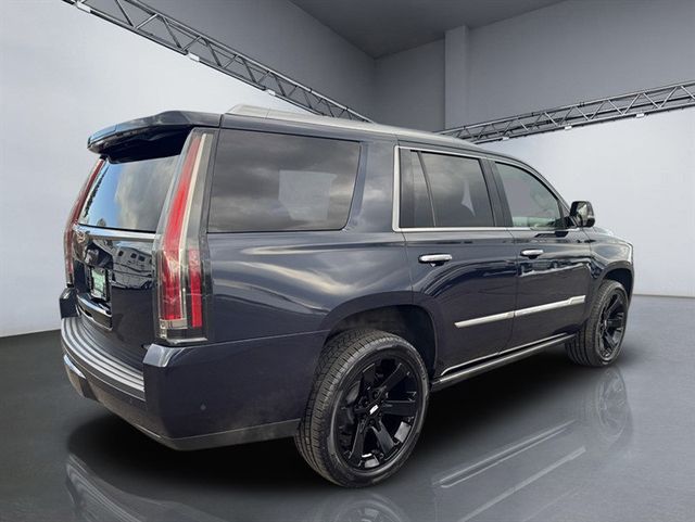 2019 Cadillac Escalade 4WD 4dr Platinum - 22956274 - 6