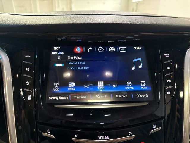 2019 Cadillac Escalade 4WD 4dr Premium Luxury - 22971306 - 20