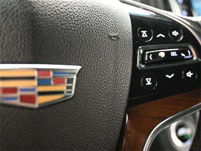 2019 Cadillac Escalade 4WD 4dr Premium Luxury - 22960521 - 25