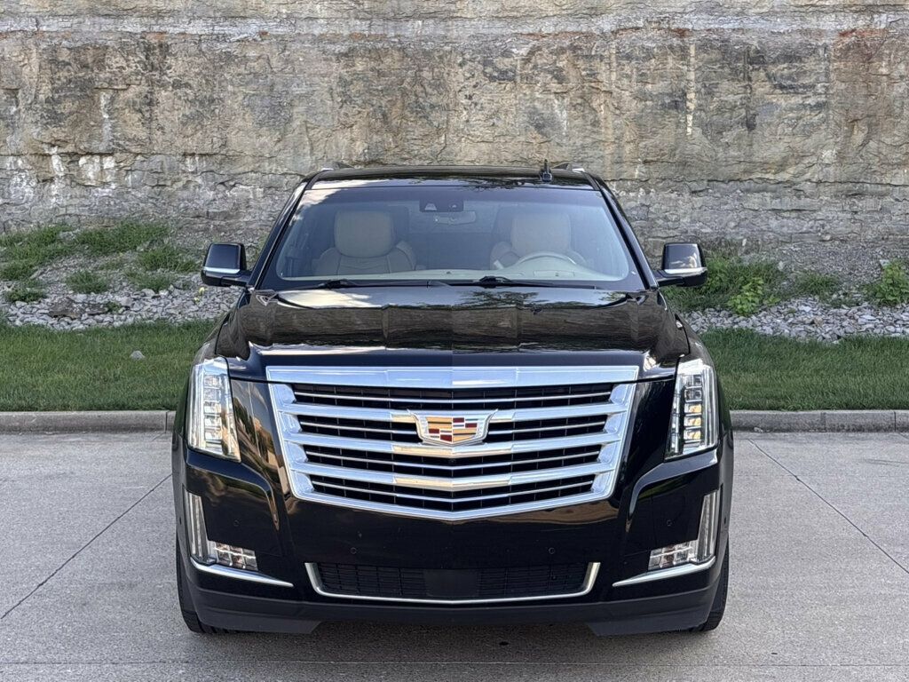 2019 Cadillac Escalade ESV 2019 Cadillac Escalade ESV Platinum - 23062390 - 4
