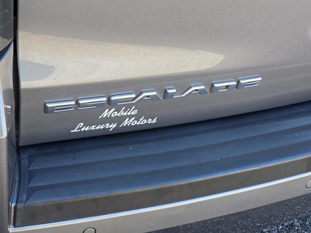 2019 Cadillac Escalade ESV 2WD 4dr Luxury - 23094461 - 34