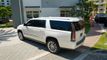 2019 Cadillac Escalade ESV 2WD 4dr Premium Luxury - 22823876 - 17