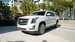 2019 Cadillac Escalade ESV 2WD 4dr Premium Luxury - 22823876 - 1