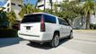 2019 Cadillac Escalade ESV 2WD 4dr Premium Luxury - 22823876 - 24