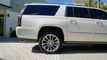 2019 Cadillac Escalade ESV 2WD 4dr Premium Luxury - 22823876 - 26