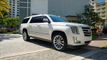 2019 Cadillac Escalade ESV 2WD 4dr Premium Luxury - 22823876 - 32