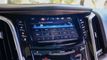 2019 Cadillac Escalade ESV 2WD 4dr Premium Luxury - 22823876 - 51