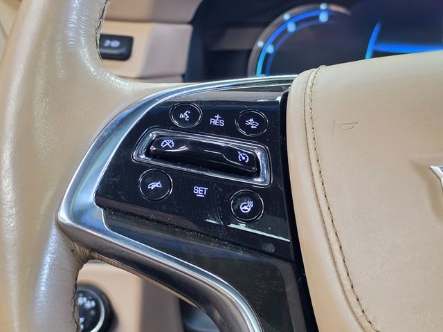 2019 Cadillac Escalade ESV 4WD 4dr Platinum - 23053315 - 31