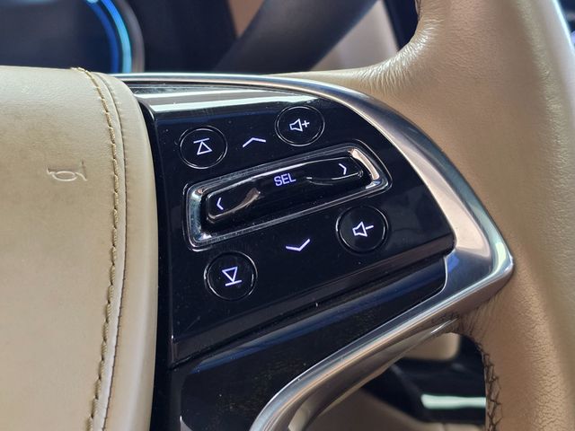 2019 Cadillac Escalade ESV 4WD 4dr Platinum - 23053315 - 32