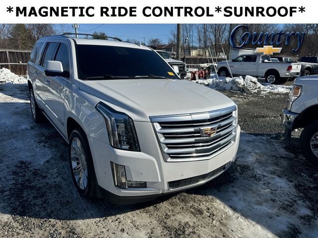 2019 Cadillac Escalade ESV 4WD 4dr Platinum - 22749136 - 0