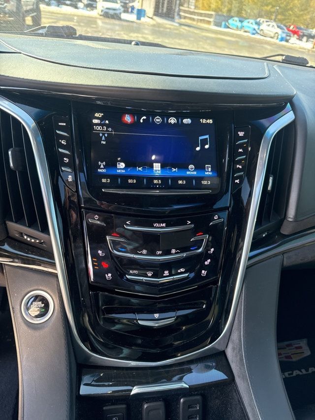 2019 Cadillac Escalade ESV 4WD 4dr Platinum - 22749136 - 20