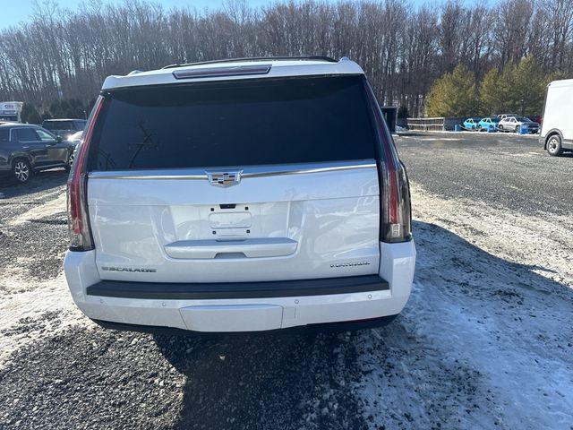 2019 Cadillac Escalade ESV 4WD 4dr Platinum - 22749136 - 5