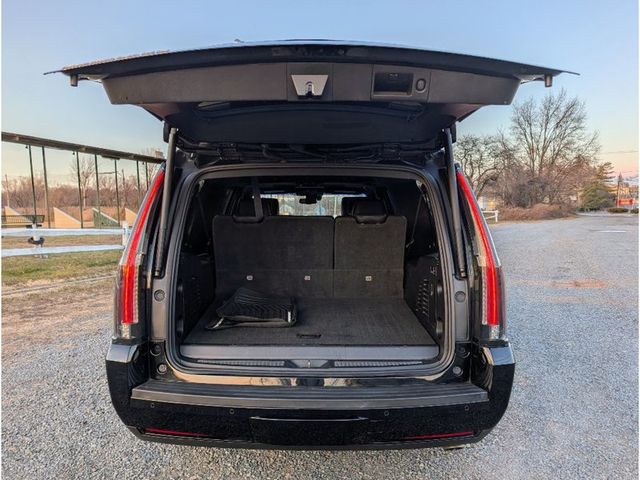 2019 Cadillac Escalade ESV 4WD 4dr Platinum - 22960561 - 11