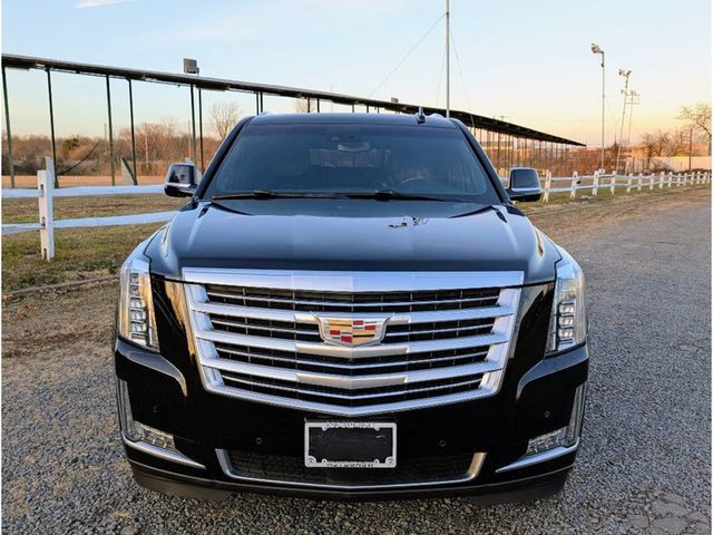 2019 Cadillac Escalade ESV 4WD 4dr Platinum - 22960561 - 1