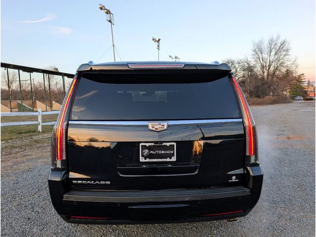 2019 Cadillac Escalade ESV 4WD 4dr Platinum - 22960561 - 4