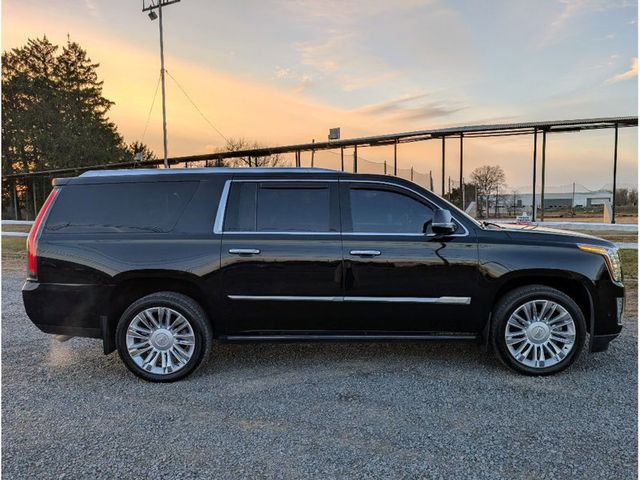 2019 Cadillac Escalade ESV 4WD 4dr Platinum - 22960561 - 6