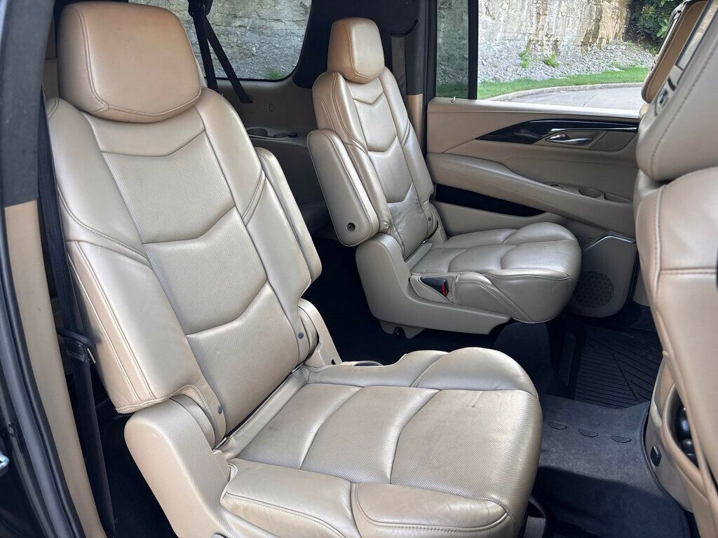2019 Cadillac Escalade ESV 4WD 4dr Platinum - 23062390 - 17