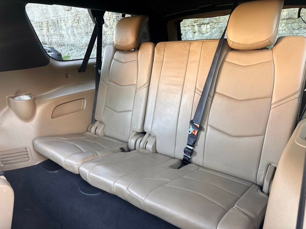 2019 Cadillac Escalade ESV 4WD 4dr Platinum - 23062390 - 22