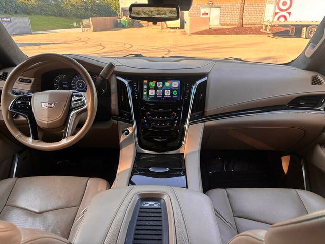 2019 Cadillac Escalade ESV 4WD 4dr Platinum - 23062390 - 29