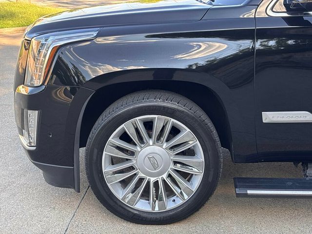 2019 Cadillac Escalade ESV 4WD 4dr Platinum - 23062390 - 42