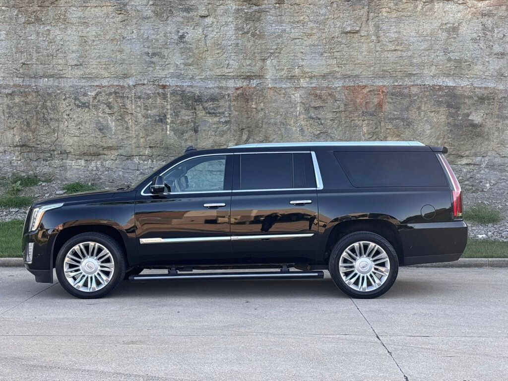 2019 Cadillac Escalade ESV 4WD 4dr Platinum - 23062390 - 6