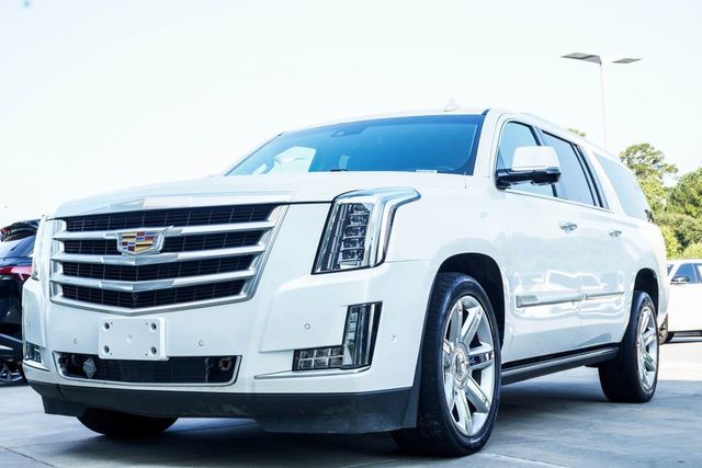 2019 Cadillac Escalade ESV 4WD 4dr Premium Luxury - 22915441 - 6