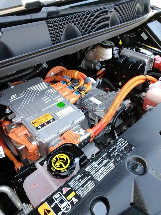 2019 Chevrolet Bolt EV 5dr Wagon Premier - 23004033 - 25